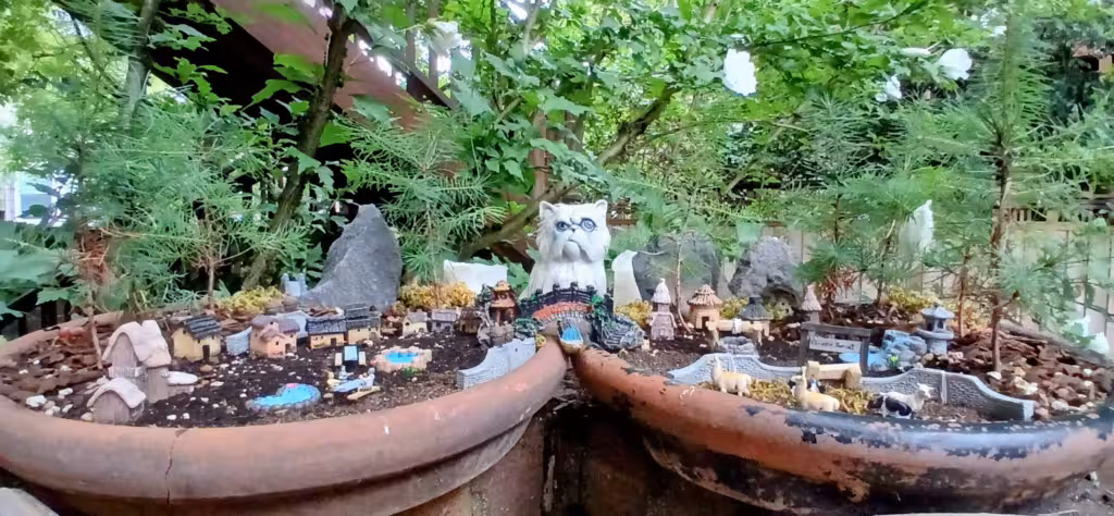 Wide shot of the Village Penjing, showcasing the 9 Douglas Firs, houses, and the bridge between the pots.