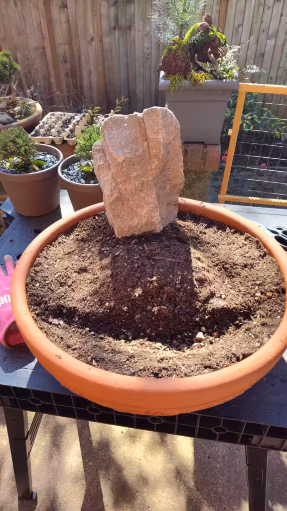 GMP before any planting, with the mountain rock in place the and river bed dug out.